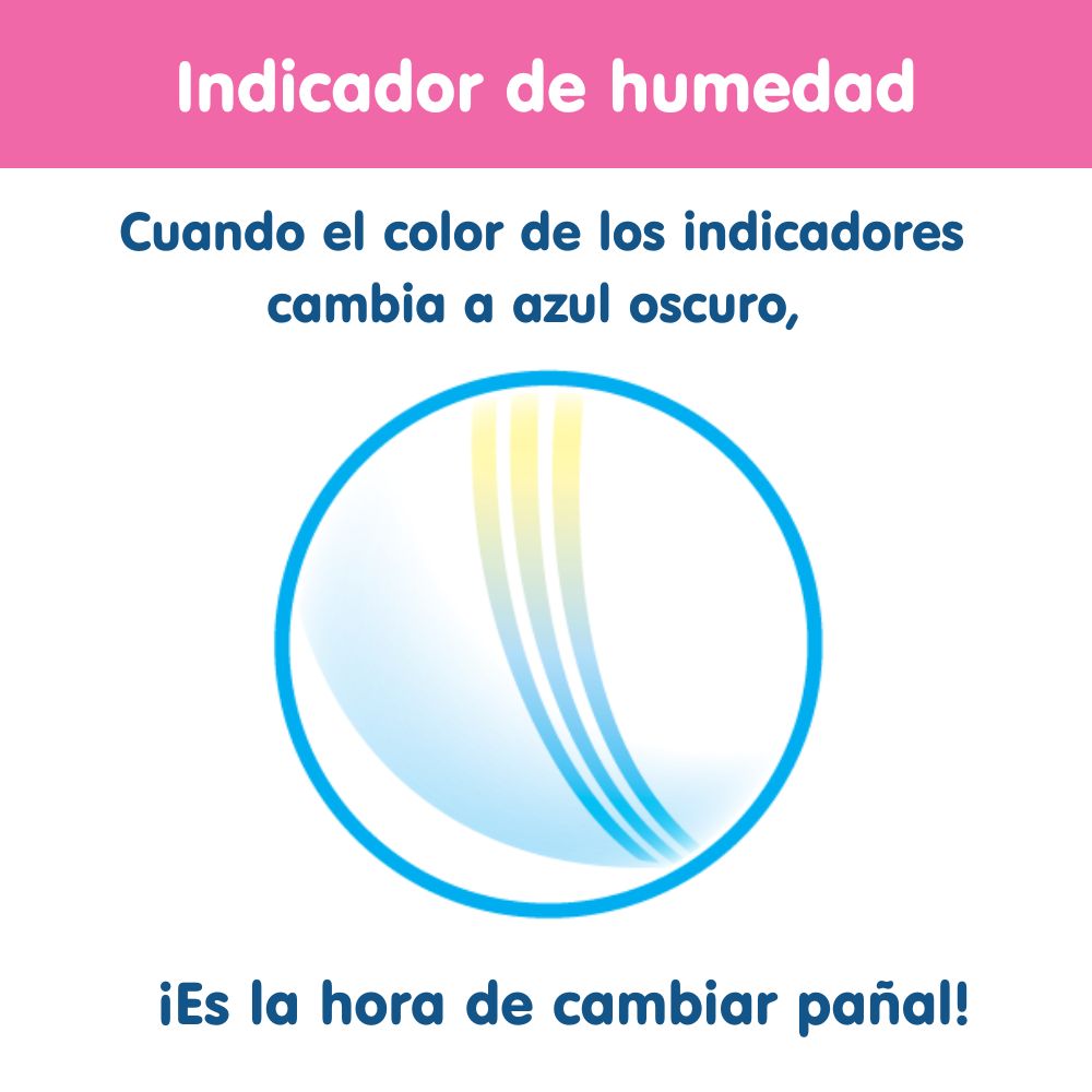 <p>Pañales Pants Talla L 88 un. (9-14kg)</p>