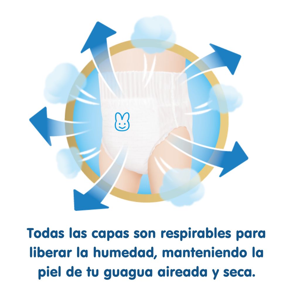 <p>Pañales Pants Talla L 88 un. (9-14kg)</p>